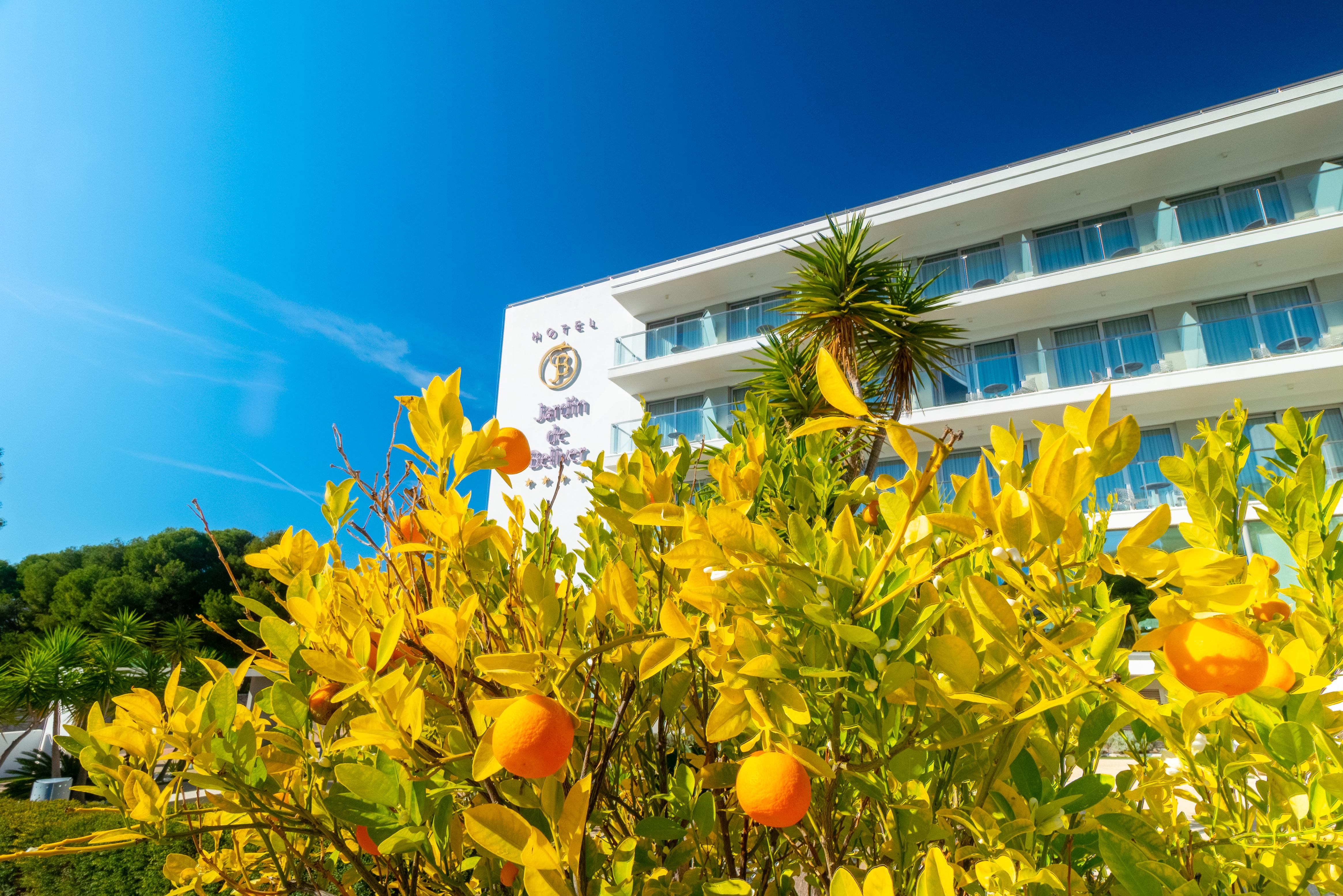 Hotel Jardin De Bellver Oropesa del Mar Exterior photo